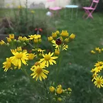 Studio Refait A Neuf Avec Jardin Partage